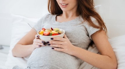 Makanan Sehat Bergizi Seimbang Untuk Ibu Hamil