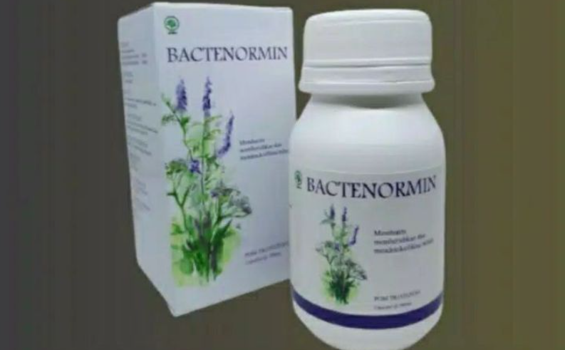 Bactenormin Obat Apa